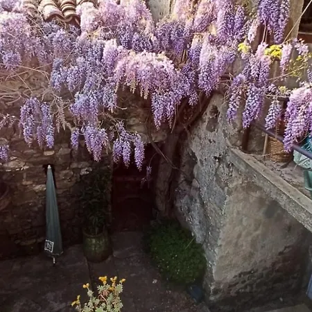 Maison Typique Cevenole Avec Jardin Mialet (Gard)
