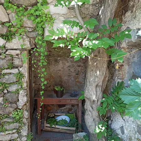 Maison Typique Cevenole Avec Jardin Сasa de vacaciones