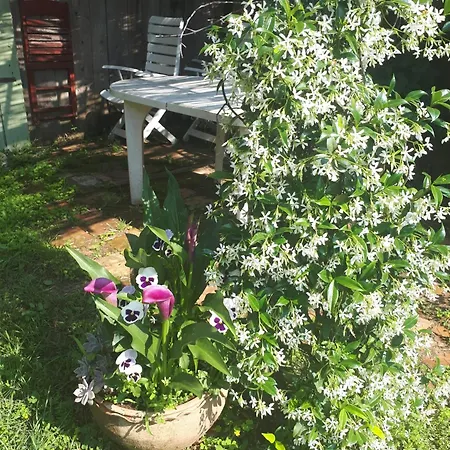 Сasa de vacaciones Maison Typique Cevenole Avec Jardin